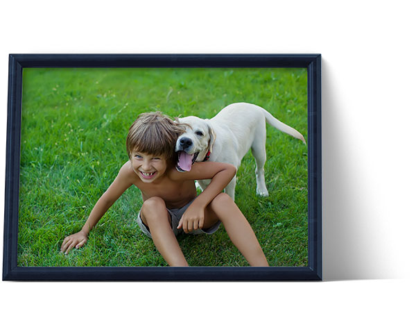 artgerechtes Hundefutter